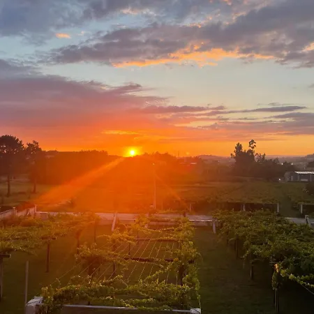 Con Jardin Rodeado De Vinedos * Ribadumia