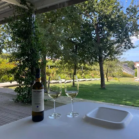 Con Jardin Rodeado De Vinedos * Ribadumia